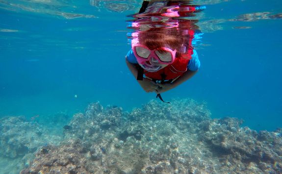 child snorkeling dive fiji