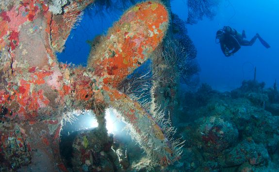 shakem shipwreck