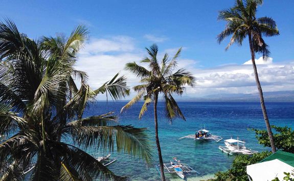 apo island 