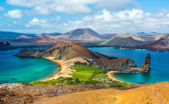 view from bartolome island