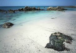 Beach in the Daymaniyat Islands