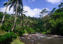 Ayung River Bali