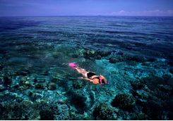 snorkeling