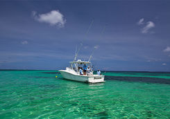 fishing trip on flats alphonse