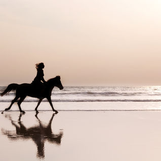 Woman riding horse on beach