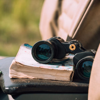 binoculars book safari