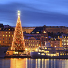 Christmas Tree in Stockholm