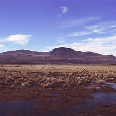 Argentina landscape