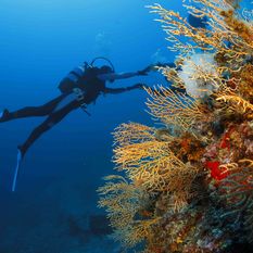 scuba diving