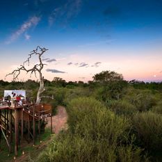 Lion Sands Chalkley Treehouse, Sabi Sands