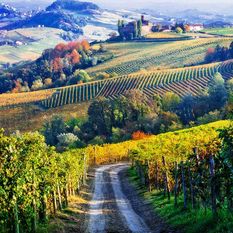 italian countryside road