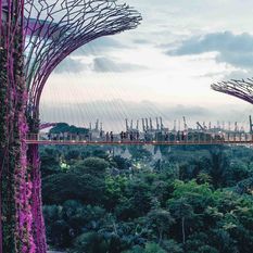gardens of the bay