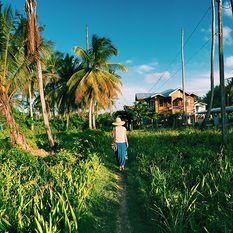 Rural Guyana Listing Image