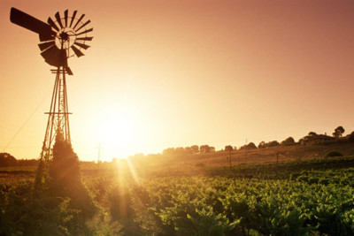Sunrise in the Barossa Valley