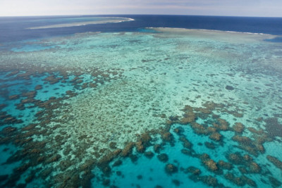 The Great Barrier Reef