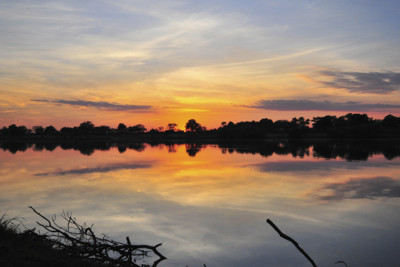 South Luangwa