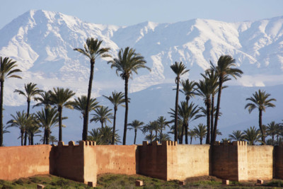 view of atlas mountains and palm trees in morocco