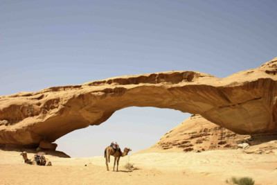 camel in an archway in the desert in Jordan