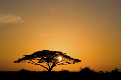 sunset in kenya