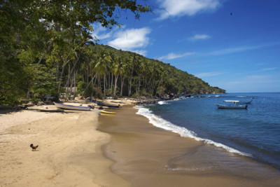 la pisota beach in jalisco