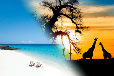 Merge photograph of south africa and madagascar