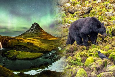 Merge photograph of Iceland and British Columbia
