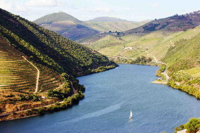 Boat sailing down Douro River