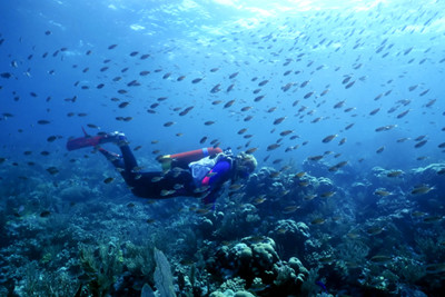 A diver in St Vincent & the Grenadines