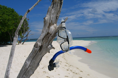 Snorkel hanging on a tree