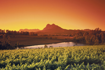 Sunset View across Winelands