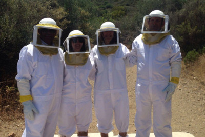 Bee Keeping, Cyprus