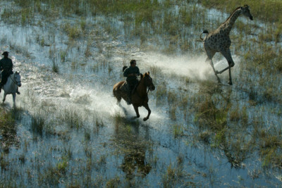 botswana horse back safari tour