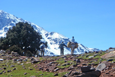 trekking atlas mountains