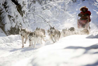Dog Sledding