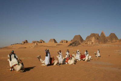 Camels in the North Sudan Desert