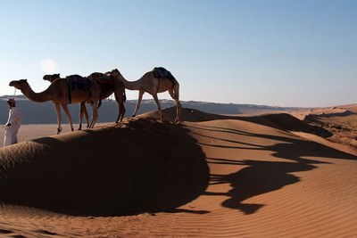 camel_safari_oman_desert_nights_camp