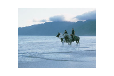 Wharekauhau_horses_new_zealand