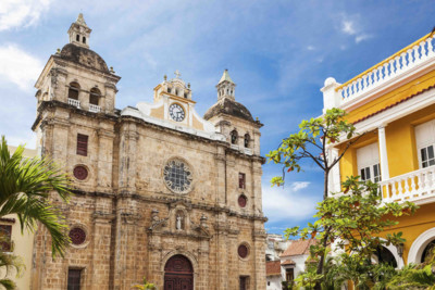 building_trees_cartagena_colombia