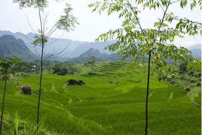 Mai Chau scenery