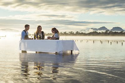 tasmania oyster farming