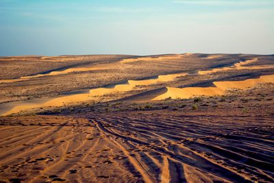 wahiba sands desert adventure