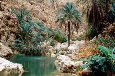 wadi shab
