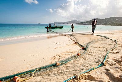 Fishing net in Grenada