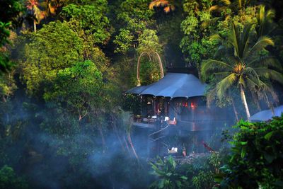 private tent in the jungle canopy at Capella Ubud