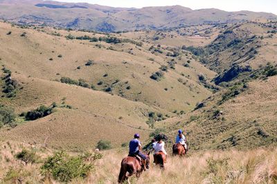 Horse safari in Andalucia