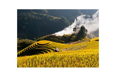 Sapa Fields