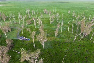 Bamurru Plains swamp