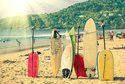 surf boards on a beach