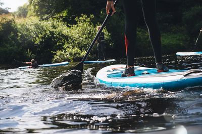 paddle boarding in Daintree