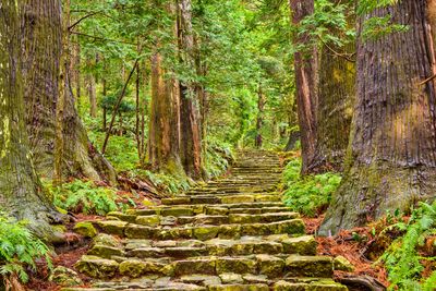 kumano kudo trial